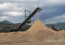 Trung Quốc là thị trường xuất khẩu dăm gỗ lớn nhất của Việt Nam